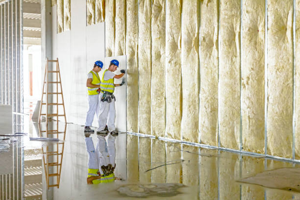 Best Geographic-Specific Insulation Services in Lebanon, TN